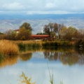 Tablo Tadında Yansıma